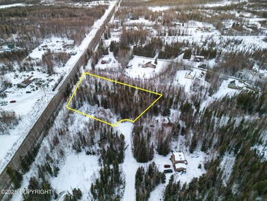Drone Lot Lines 4