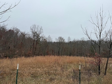 699 Wolf Rd, Upper Tygart, KY 41164 - photo 3