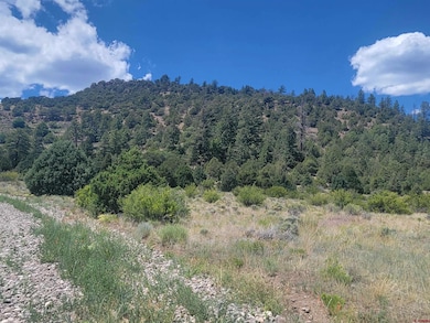 1287 Bear Creek Cir, South Fork, CO 81154 - photo 7