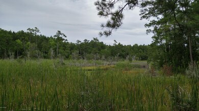 102 Calcos Ct, Stump Sound, NC 28445 - photo 6