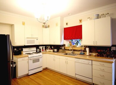 18 Sigourney St unit 18, Jamaica Plain, MA 02130 - photo 4