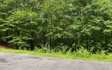 0 Crabapple Ct unit 309049, Ellijay, GA 30540 - photo 4