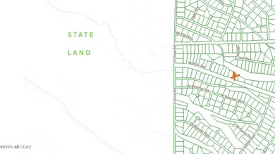 16252 W Pyle Rd unit 106, Diamond Bell Ranch, AZ 85736 - photo 2