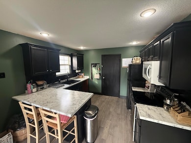 1714 E Lee St, Republic, MO 65738 - photo 4