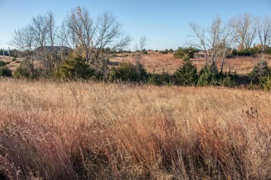 N S Wagon Wheel Rd, Rockford Precinct, NE 68823 - photo 7