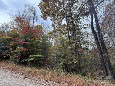 Lot # 5 W Legacy Dr unit 5, Hendersonville, NC 28739 - photo 6