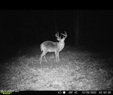 00 Pleasant Ln, Wesson, MS 39191 - photo 6