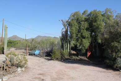 IMG_1905