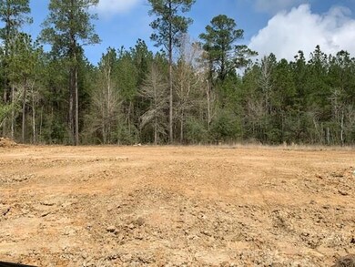 Lot 64 Hathern Dr, Pineville, LA 71360 - photo 2