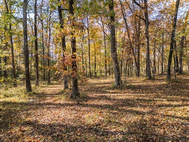 Lot 114 W Lakeshore Dr, Starkville, MS 39759 - photo 6