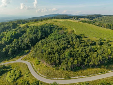 Twelve Ridges Way, Vesuvius, VA 24483 - photo 3