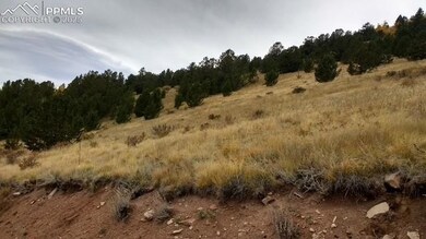 View of local wilderness with rural landscape