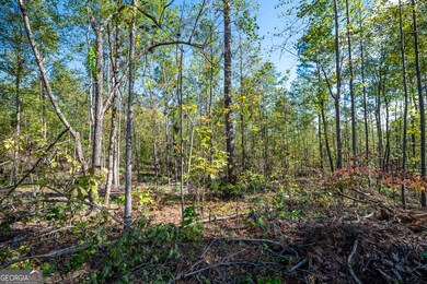 3785 Hwy 140 NE, Rydal, GA 30171 - photo 7