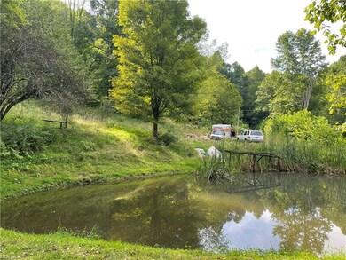 pond/property line looking into the property from 