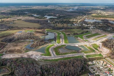 10312 Hawks Landing Dr, Land O Lakes, FL 34638 - photo 2