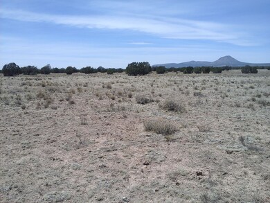 BUTTE