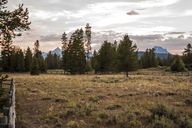 IMG_7655