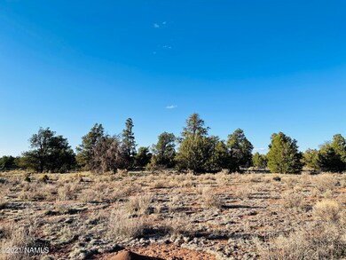 5370 N Windy Walk Way Photo 6