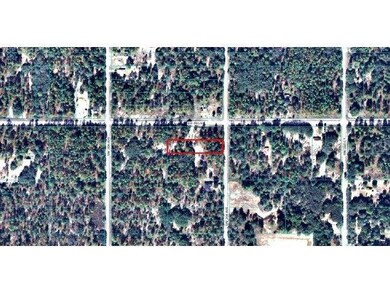 0 SW 204 Ave unit OM385608, Dunnellon, FL 34431 - photo 2