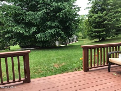 Back Deck in the Summer