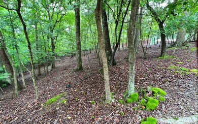 Additional View