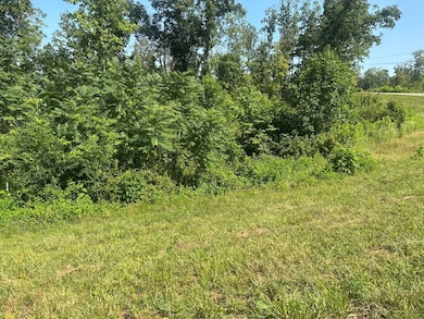 49 Rock Springs Rd, Celina, TN 38551 - photo 3