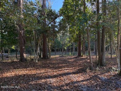 116 Stones Throw, Wilmington, NC 28411 - photo 5