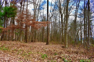 0 Rabbit Run & Orchard View unit 654256, Schuylkill County, PA 18211 - photo 2