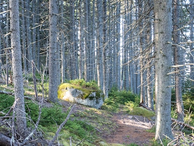 63 Minturn Rd, Swans Island, ME 04685 - photo 2