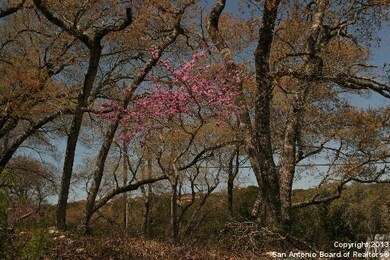 21664 Cielo Ridge Dr, San Antonio, TX 78256 - photo 7