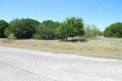 8119 High Mesa Dr, Whitney, TX 76692 - photo 3