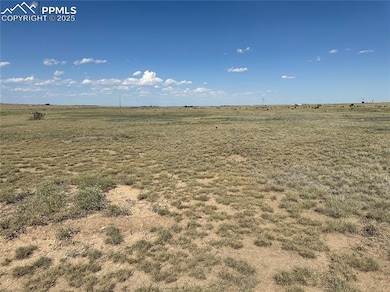 3668 Siegel Way, Pueblo, CO 81005 - photo 3