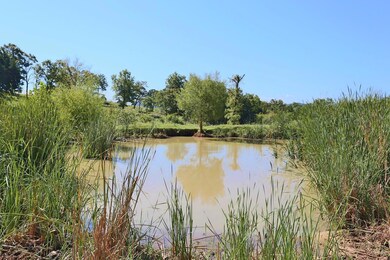 160 Acres