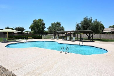 Community Pool2