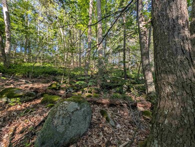 008-043-001 School House Rd, Francestown, NH 03043 - photo 7