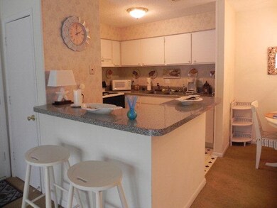 850 Mallery St *Furnished* unit T-8, Saint Simons Island, GA 31522 - photo 5