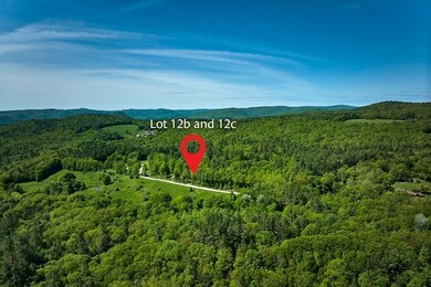 12 Maxwell Rd, Charlemont, MA 01339 - photo 4