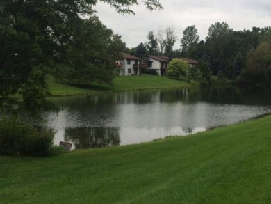 View of Pond