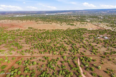 TBD Silver Lake Blvd 16 32 Acres -- unit L & N, Show Low, AZ 85901 - photo 3