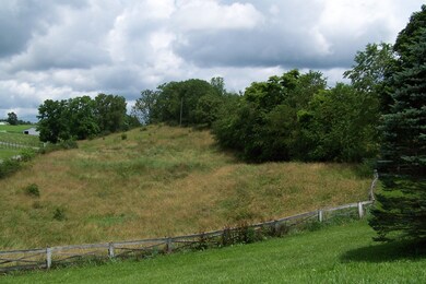 Back Pasture Views