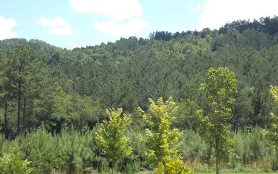 Additional View