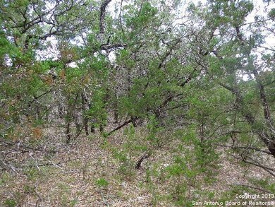 27212 Bent Trail, Fair Oaks, TX 78006 - photo 2