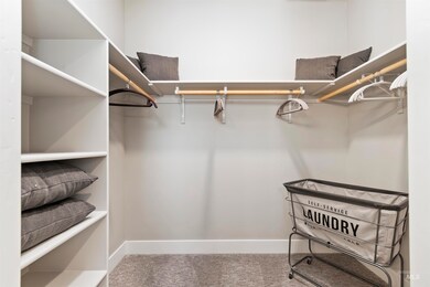 Spacious closet featuring carpet flooring