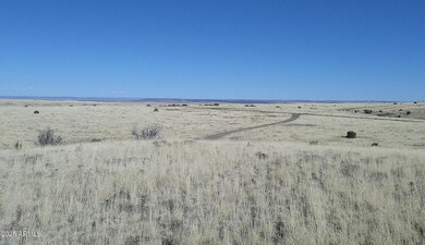 100 County Rd N3513 --, Concho, AZ 85924 - photo 6