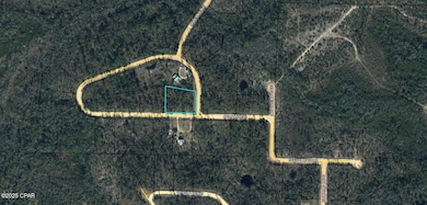 Lot #1 Arpana Cir, Alford, FL 32420 - photo 2