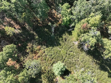 0 Sterling Truck Trail unit 11610290, Sterling, MI 48659 - photo 7