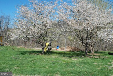 333 Riding Chapel Rd, Stephens City, VA 22655 - photo 6