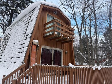 N10736 Cannonball Ct, Bessemer, MI 49911 - photo 4