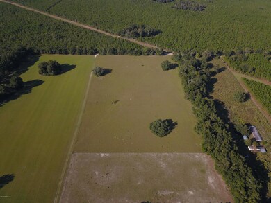 1178 W Jordan St, Fort White, FL 32038 - photo 6