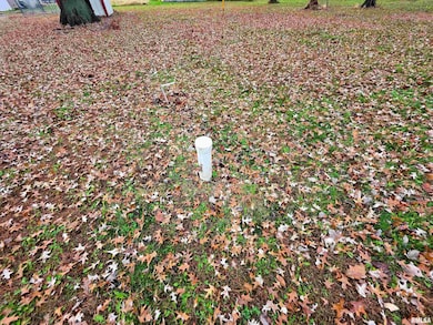 101 S Watkins St, Cisne, IL 62823 - photo 6